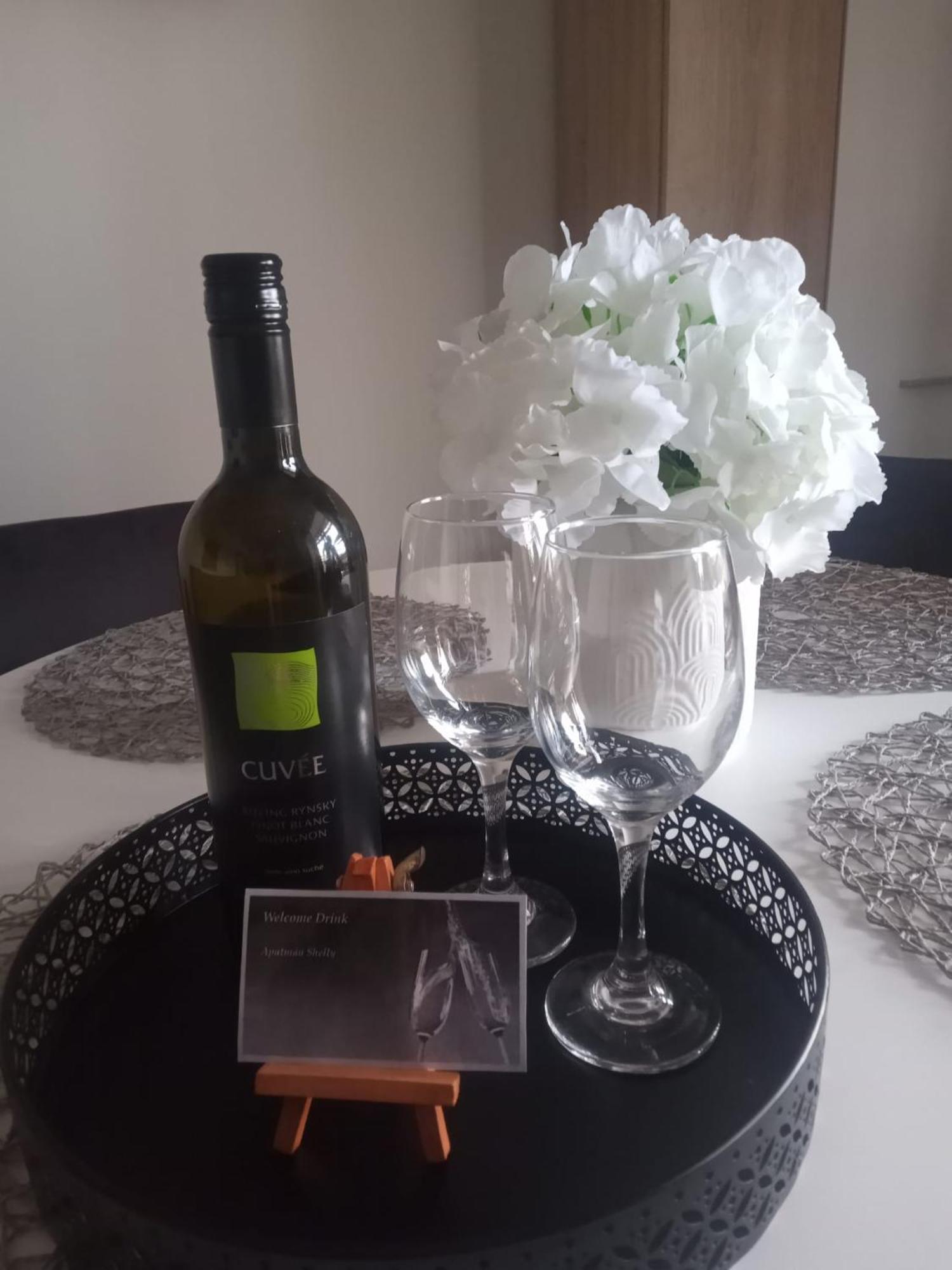 Apartman Shelly Vlachy エクステリア 写真